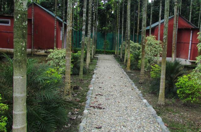 Resort Jayanti Hills Jungle Camp Rajabhat Khawa Экстерьер фото